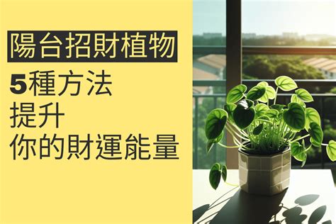 風水植物有哪些|前陽台招財植物大全！15 種適合陽台的植物助你財源。